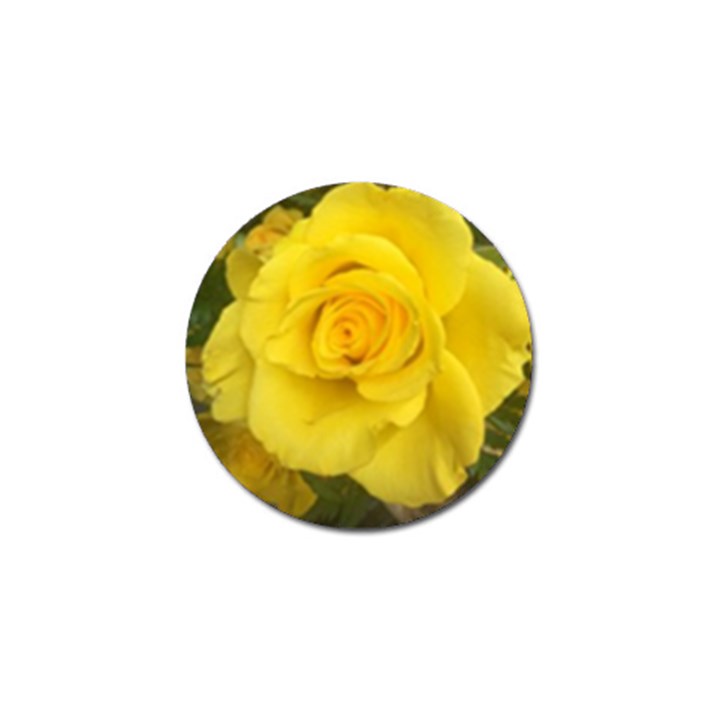 Yellow rose Golf Ball Marker