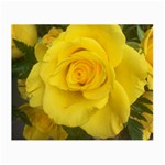 Yellow rose Small Glasses Cloth Front