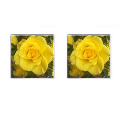 Yellow Rose Cufflinks (square) by glendatartist