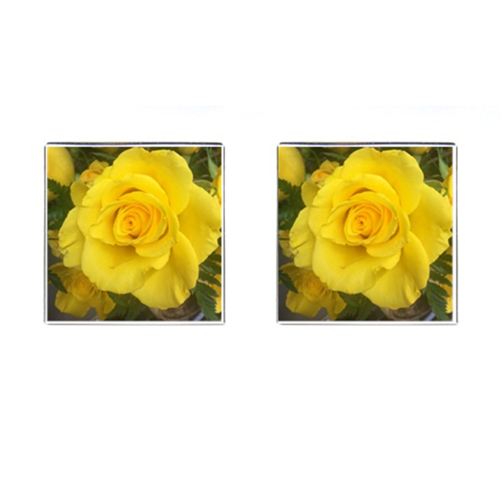 Yellow rose Cufflinks (Square)