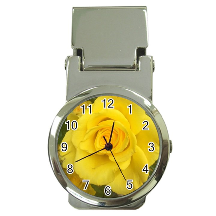 Yellow rose Money Clip Watch