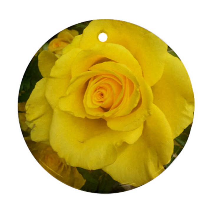 Yellow rose Round Ornament (Two Sides)