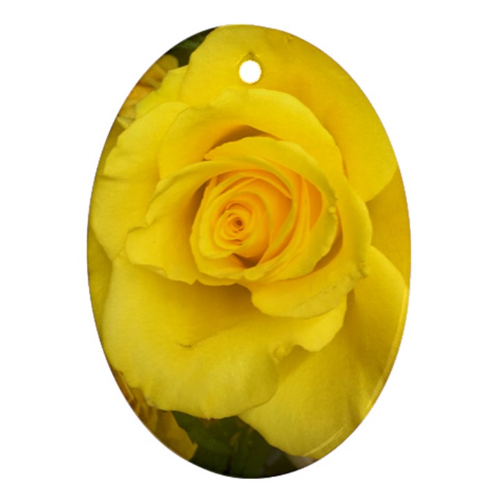 Yellow rose Oval Ornament (Two Sides)