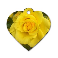 Yellow Rose Dog Tag Heart (one Side) by glendatartist