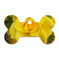 Yellow Rose Dog Tag Bone (one Side) by glendatartist