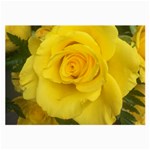 Yellow rose Large Glasses Cloth Front