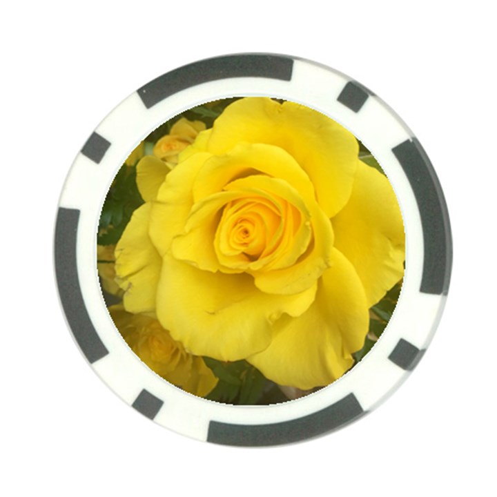 Yellow rose Poker Chip Card Guard