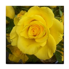 Yellow Rose Face Towel by glendatartist