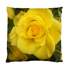 Yellow Rose Standard Cushion Case (one Side) by glendatartist