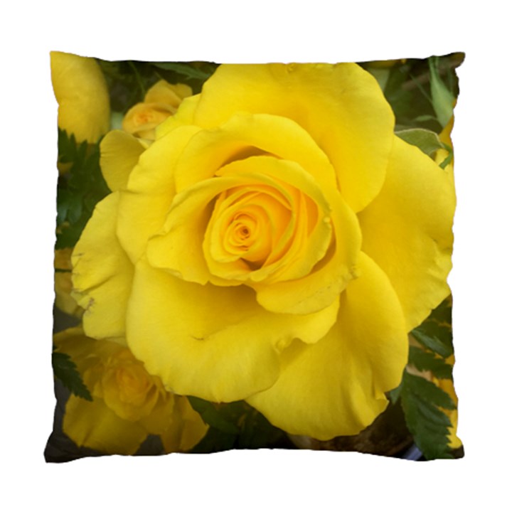 Yellow rose Standard Cushion Case (Two Sides)