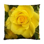 Yellow rose Standard Cushion Case (Two Sides) Back