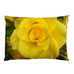 Yellow Rose Pillow Case by glendatartist