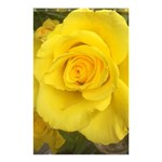 Yellow rose Shower Curtain 48  x 72  (Small) Curtain(48  X 72 ) - 42.18 x64.8  Curtain(48  X 72 )