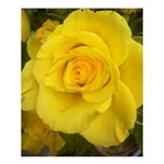 Yellow rose Shower Curtain 60  x 72  (Medium) 60 x72  Curtain