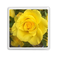 Yellow Rose Memory Card Reader (square) by glendatartist