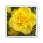 Yellow rose Memory Card Reader (Square) Front