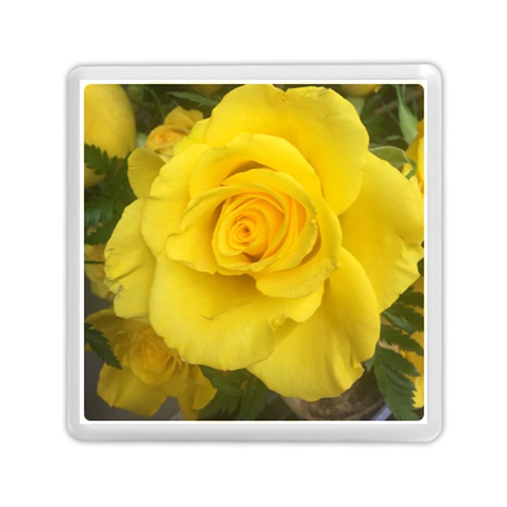 Yellow rose Memory Card Reader (Square)