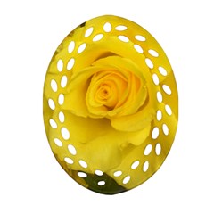 Yellow Rose Ornament (oval Filigree) by glendatartist