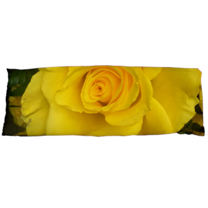 Yellow rose Body Pillow Case (Dakimakura)