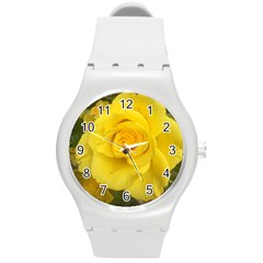 Yellow Rose Round Plastic Sport Watch (m) by glendatartist