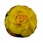 Yellow rose Standard 15  Premium Round Cushion  Front