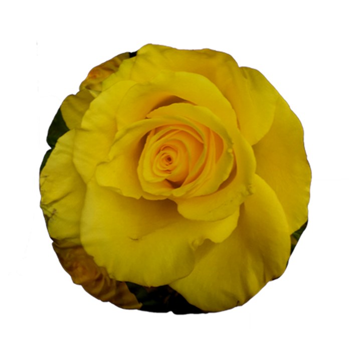 Yellow rose Standard 15  Premium Round Cushion 