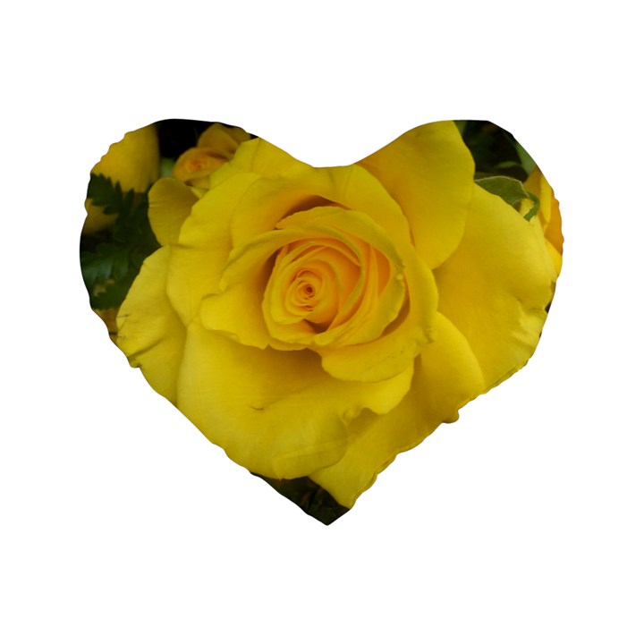 Yellow rose Standard 16  Premium Heart Shape Cushion 