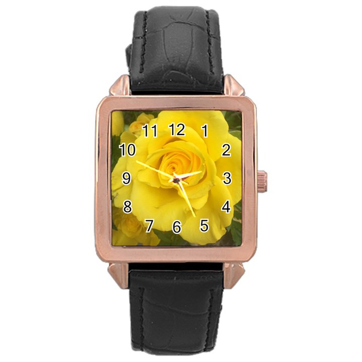 Yellow rose Rose Gold Leather Watch 