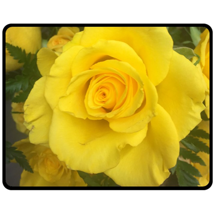 Yellow rose Double Sided Fleece Blanket (Medium)