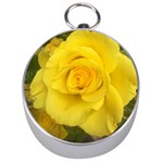 Yellow rose Silver Compass Front