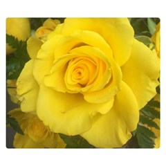 Yellow Rose Double Sided Flano Blanket (small) by glendatartist