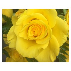 Yellow Rose Double Sided Flano Blanket (medium) by glendatartist