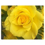 Yellow rose Double Sided Flano Blanket (Medium) 60 x50  Blanket Front