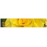 Yellow rose Large Flano Scarf  Front