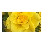 Yellow rose Satin Shawl Front