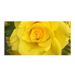 Yellow Rose Satin Wrap by glendatartist