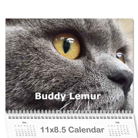 Buddy Calendar 2019v2 By Aidan O connor Cover