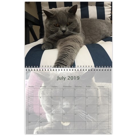 Buddy Calendar 2019v2 By Aidan O connor Jul 2019