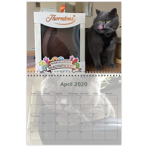 Buddy Calendar 2019v2 By Aidan O connor Apr 2020