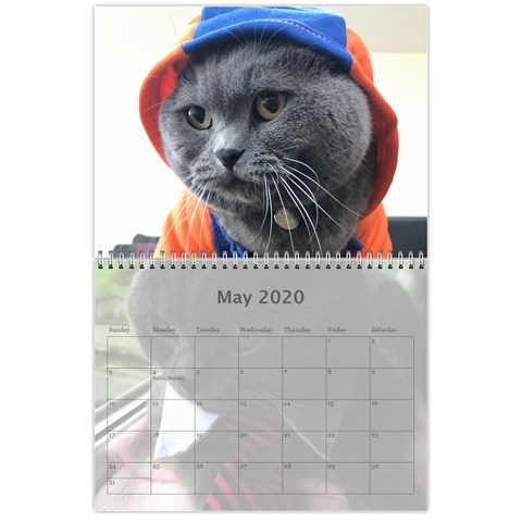 Buddy Calendar 2019v2 By Aidan O connor May 2020