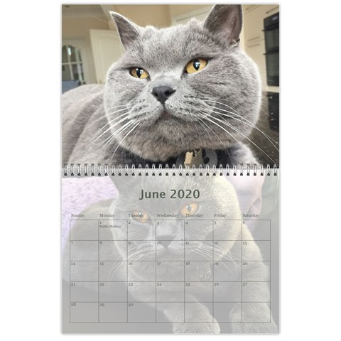 Buddy Calendar 2019v2 By Aidan O connor Jun 2020