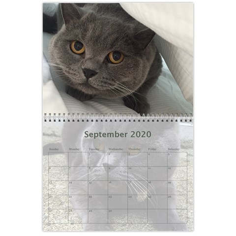 Buddy Calendar 2019v2 By Aidan O connor Sep 2020