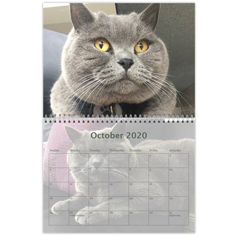 Buddy Calendar 2019v2 By Aidan O connor Oct 2020