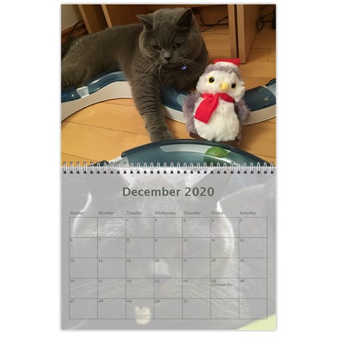 Buddy Calendar 2019v2 By Aidan O connor Dec 2020