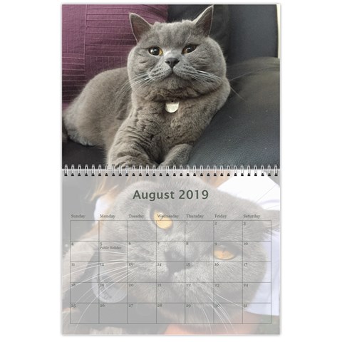 Buddy Calendar 2019v2 By Aidan O connor Aug 2019