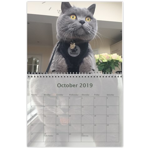 Buddy Calendar 2019v2 By Aidan O connor Oct 2019