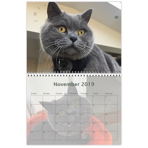 Buddy Calendar 2019v2 By Aidan O connor Nov 2019