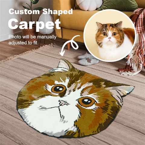 Custom Shaped Carpet By Joe Front