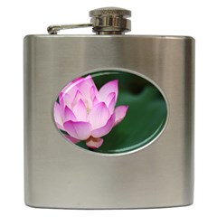 Dscf4523 Ps Hip Flask (6 Oz) by NonCustomize