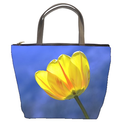 Tulip On Blue By Alana Front